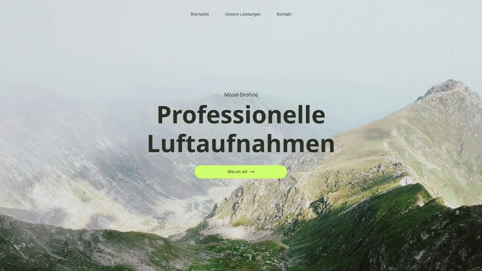 Hero Sektion der Local Growth Webseite