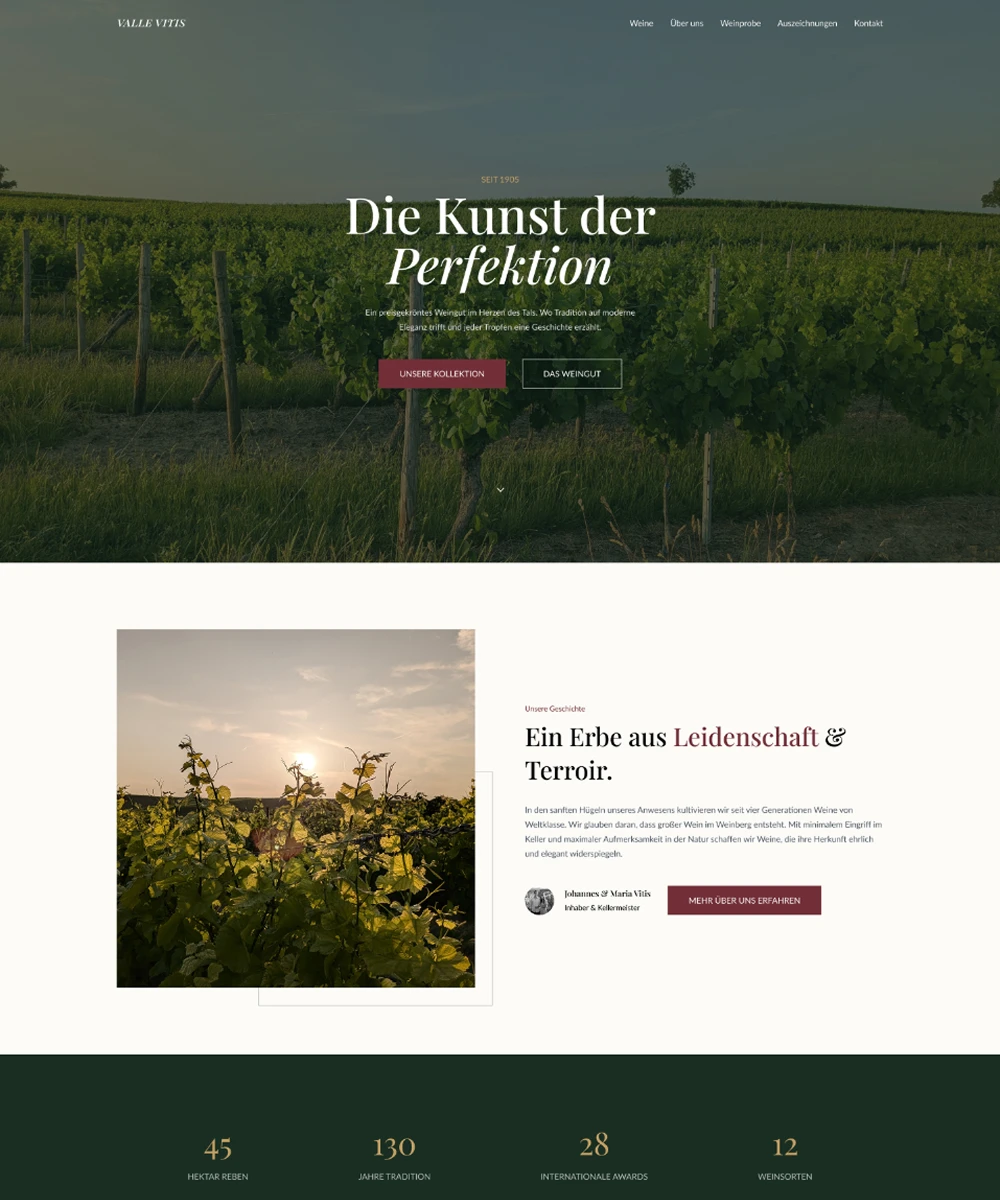 Bild der Webseite von Valle Vitis entwickelt von Lixify